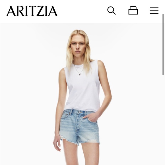 Aritzia Pants - Aritzia ExBoyfriend short